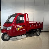 Tricycle de fret WangHu à trois roues avec cabine, capacité de charge de 400 kg, moteur à essence 250cc, carrosserie ouverte