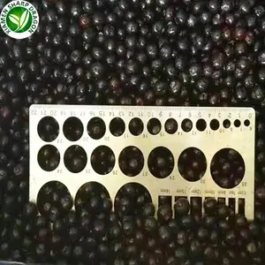 Import bulk berries fruits prices frozen fresh blueberries iqf