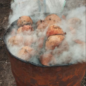 NOIX DE COCO CHARBON DE BOIS INDONÉSIE - Product Image 4