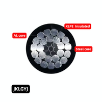 Cable de Servicio Aéreo Trenzado de Aluminio con Aislamiento XLPE LV Triplex ABC para Construcción Ferroviaria en Filipinas