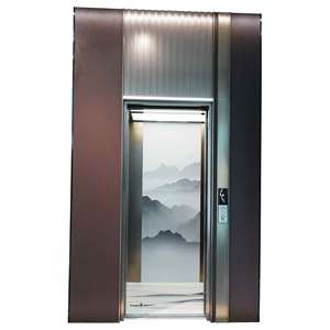采用先进牵引技术的现代设计家庭电梯，适用于现代室内和室外的时尚电梯 - Product Image 3