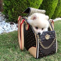 Petit sac à lunch isotherme réutilisable à thème personnalisé de haute qualité pour femmes