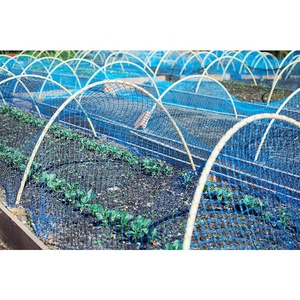 Ad alta densità HDPE UV hdpe Lavorato A Maglia uccello di compensazione heavy duty <span class=keywords><strong>rete</strong></span> di plastica garden anti uccello <span class=keywords><strong>rete</strong></span> di - Product Image 5