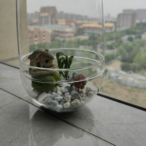 Vaso Terrario da Tavolo <span class=keywords><strong>con</strong></span> Cupola <span class=keywords><strong>in</strong></span> <span class=keywords><strong>Vetro</strong></span>, Fori di Ventilazione e Base per Esposizione di Piante e <span class=keywords><strong>Fiori</strong></span>, Decorazione <span class=keywords><strong>Centrotavola</strong></span> 12*25cm - Product Image 6