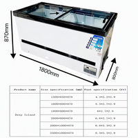 Congélateur vertical horizontal à température unique avec double vitrage supérieur pour refroidissement direct, type îlot profond
