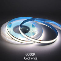 Bande LED COB Super Lumineuse Blanc Froid 6000K 10 Mètres 8MM 12V 24V Flexible CRI 90 IP65 Garantie 3 Ans pour Plafond