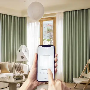 Electric Curtain Motor Curtains Automatic Smart Home Automation System Electric Remote Control Drapery System Curtain Motor