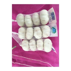 Çin'den sarımsak satın taze saf beyaz sarımsak taze siyah sarımsak 250g satılık - Product Image 6