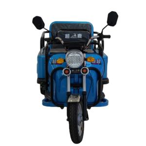 Triciclo Motorizado Eléctrico de Doble Propósito con Carrocería Abierta, Certificado EEC, 1.1m, 2 Pasajeros, 400kg, Suministro de Fábrica - Product Image 2