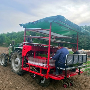 Planteuse de légumes haute performance pour <span class=keywords><strong>semis</strong></span>, machine à planter pour tracteur, idéale pour piments et tomates, avec distance réglable - Product Image 1