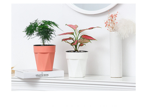 Vente en gros <span class=keywords><strong>de</strong></span> pots à <span class=keywords><strong>fleurs</strong></span> ronds en plastique <span class=keywords><strong>de</strong></span> haute qualité et bon marché pour la décoration <span class=keywords><strong>de</strong></span> jardin, pour l'extérieur - Product Image 4