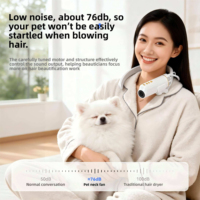 Sèche-cheveux portable pour animaux de compagnie (chats et chiens) – Conception simple, protection contre la surchauffe, nettoyage des poils flottants pour le toilettage familial des animaux.