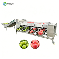 Multi-lane multi-tray weeg- en sorteerinstallatie van roestvrij staal voor het sorteren van groenten