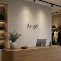 Insegna in Metallo 3D Personalizzata Non Illuminata in Acciaio Inox Titanio Oro per Pubblicità di Lusso e Branding Auto