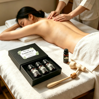 Ensemble d'huiles essentielles d'aromathérapie 3 pièces 10ml Lavande Menthe poivrée Citronnelle pour diffuseur OEM Vente en gros