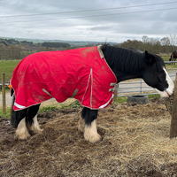 Couverture d'extérieur imperméable verte pour cheval avec col en fausse fourrure, résistante à la pluie, pour l'hiver