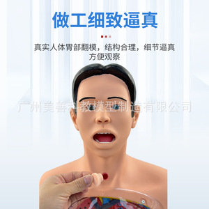 Modèle de lavage gastrique humain, modèle transparent du mécanisme de lavage gastrique avec signes d'avertissement, décompression gastro-intestinale - Product Image 2