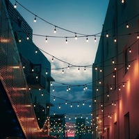 Guirlandes lumineuses LED étanches pour extérieur, mariage, cour, avec ampoules S14, Moult MOERTE-s14dc