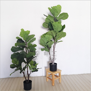 2019 de fábrica al por mayor árbol de Bonsai de Ficus Lyrata Fig violín de Planta Artificial - Product Image 2
