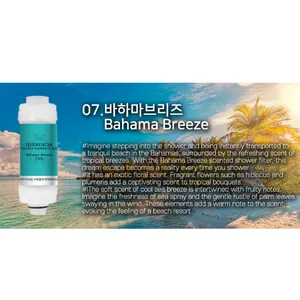 Korean high quality Aromatherapy vitamin Vitamin Shower filter 10 microns to remove impurities Querencia filter