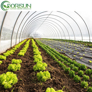 Serre agricole à arceaux <span class=keywords><strong>pour</strong></span> la culture des légumes, <span class=keywords><strong>tunnel</strong></span> à simple portée, à vendre - Product Image 4