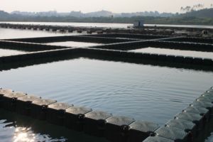 Blocs flottants modulaires en HDPE à longue durée <span class=keywords><strong>de</strong></span> vie pour pontons <span class=keywords><strong>de</strong></span> pêche, pont flottant avec une durée <span class=keywords><strong>de</strong></span> vie <span class=keywords><strong>de</strong></span> 15 ans, 500x500x400mm, flottabilité <span class=keywords><strong>de</strong></span> 350kg/m - Product Image 3