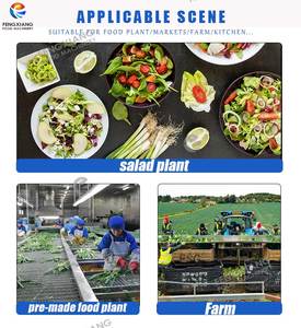 <span class=keywords><strong>Salade</strong></span> Production Chou Ozone Légumes <span class=keywords><strong>Lavage</strong></span> Tranchage Déshydratation Machine Ligne - Product Image 5