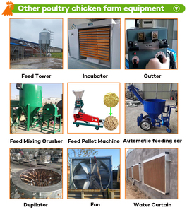 96 kuş kapasiteli kanatlı pil kafesi kenya katman tavuk tavuk kafesleri 1000 kuşlar için küçük çiftlikler üreme planı - Product Image 3