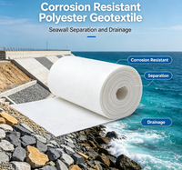 Géotextile en polyester résistant à la corrosion pour la séparation et le drainage des digues