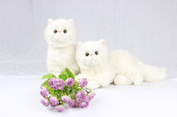 Chat persan personnalisé réaliste poupée en peluche, vente en gros matières premières organiques Animal mignon chat blanc jouet en peluche