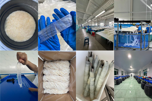 Tripas de cerdo saladas naturales comestibles de tamaño personalizado al por mayor de fábrica, cada tipo de especificación disponible, tripas de cerdo para salchichas - Product Image 4