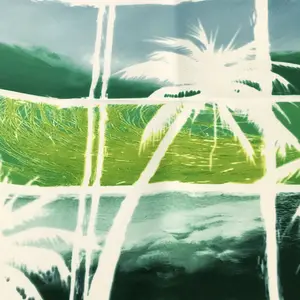 Индивидуальная цифровая печать полиэстер спандекс быстросохнущая пляжная ткань для летних купальников
