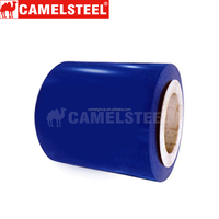 Bobines d'acier de haute qualité CAMELSTEEL conformes à la norme ASTM, personnalisables, prépeintes PPGI PPGL, revêtement couleur, pour tôles de toiture 0,21-0,50 mm