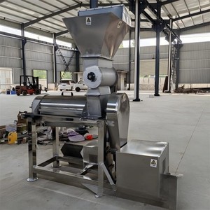 Presse-agrumes de haute qualité pour usage domestique et commercial, extracteur de <span class=keywords><strong>jus</strong></span> de gingembre pour boissons <span class=keywords><strong>maison</strong></span> - Product Image 3