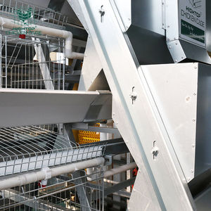 Cages d'élevage de volailles automatique de type A en batterie pour <span class=keywords><strong>les</strong></span> poules pondeuses africaines - Product Image 6