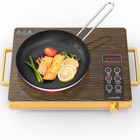 Kompor Induksi Portabel Tenaga Surya/Gas/Listrik 4 Tungku, Kontrol Suhu, Permukaan Stainless Steel, Dapat Dikendalikan via Aplikasi, Gratis untuk Rumah Tangga/RV