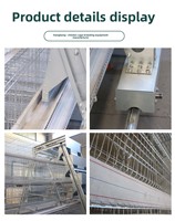 Nouvelle machine d'élevage de poulets entièrement automatique avec système d'alimentation, de collecte des œufs et d'élimination du fumier, construction en acier galvanisé