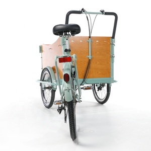 Cadre de vélo électrique pour <span class=keywords><strong>Transport</strong></span>, bicyclette à assistance électrique, couleurs personnalisées, pour pays-bas, 1 pièce - Product Image 4
