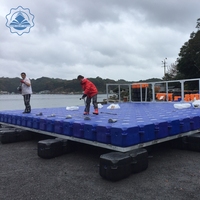Quai de pont de cubes de ponton flottant solide de moulage par soufflage de HDPE pour des cubes de bouée de maison flottante conçus pour des applications flottantes