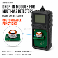 Module de capteur de gaz H2S à sortie I2C, conception de protection contre les courts-circuits électrochimiques, qualité industrielle pour les fabricants de détecteurs