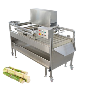Máquina Industrial Yunqingtech para Lavar Sandías y Limpiar Caña de Azúcar y Frutas - Product Image 1