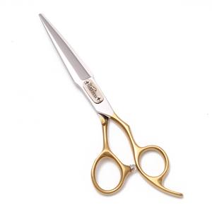 <span class=keywords><strong>Ciseaux</strong></span> à cheveux professionnels, manche doré, <span class=keywords><strong>ciseaux</strong></span> à effiler et à texturiser, différentes dents, acier japonais 440C, outils <span class=keywords><strong>de</strong></span> coiffure pour barbier - Product Image 2