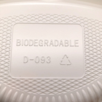 Plaque CPLA jetable non en papier avec 3 compartiments, 10 pièces, biodégradables, 9 pouces