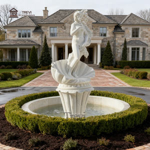 ट्रेवी ने बाहरी यार्ड सजावट के लिए प्राकृतिक पत्थर संगमरमर वेनस पानी का फव्वारा - Product Image 3
