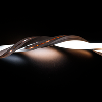 NE1616 Flexible 3D Free Bending 2700K-6500K Mini Cut Anti-UV-sel IP67 Outdoor Decorative 24V Silicone Led Neon Strip Light