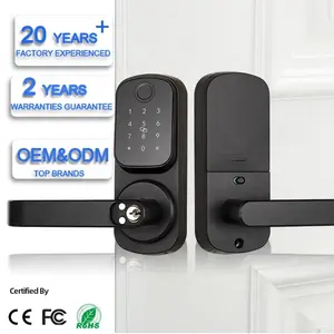 Smart Front Door Lock Electronic Keypad Deadbolt Lock Keyless Entry Door Lock With Handle