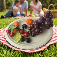 Bols à soupe et à salade jetables en bagasse, biodégradables, compostables, sans PFAS, de qualité alimentaire, empilables, avec couvercle réutilisable, couleur olive verte