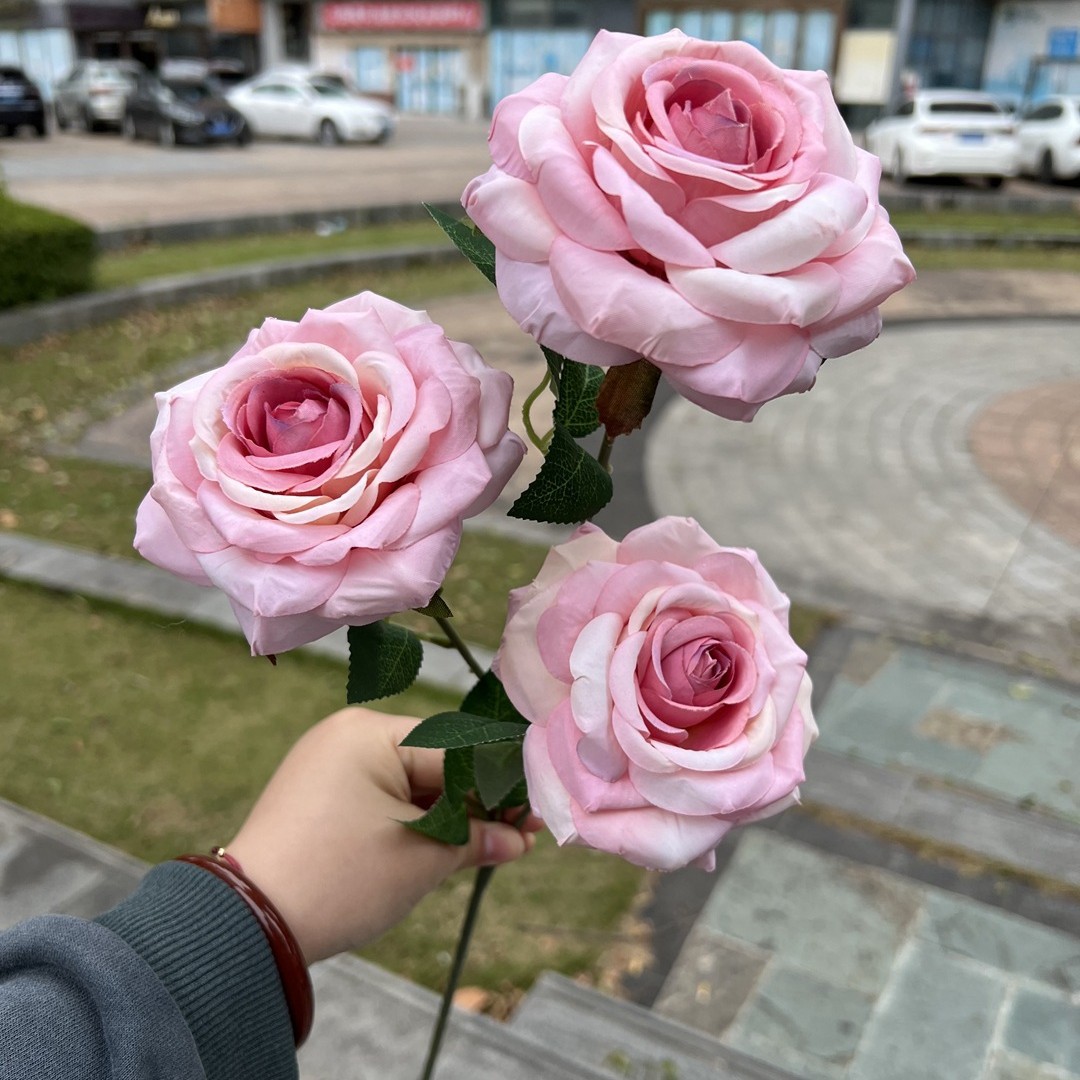 3 head curling rose deep powder