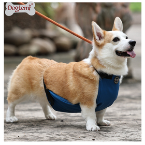 Produits d'habillement pour animaux <span class=keywords><strong>de</strong></span> compagnie en Chine, vente chaude, nouveau bavoir mignon pour toutes les races <span class=keywords><strong>de</strong></span> <span class=keywords><strong>chiens</strong></span>, bavoir anti-salive, bavoir imperméable pour Corgi - Product Image 5