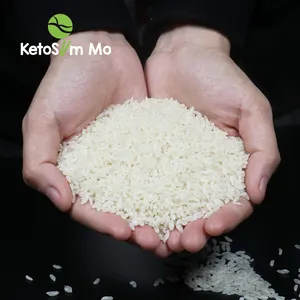 China Convenient Quick Save Time Self-Heating Rice Nutrition Tasty High Energy